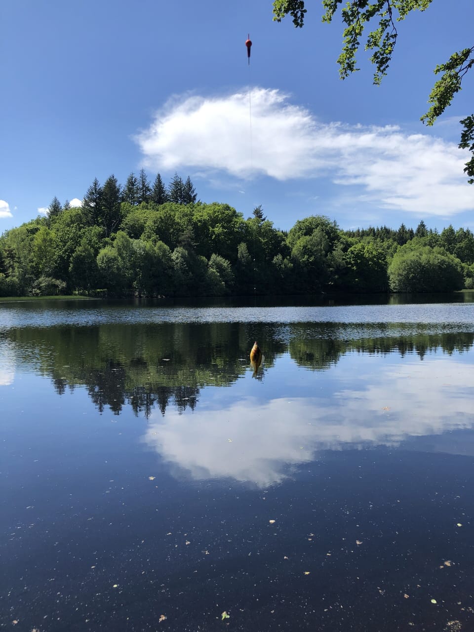 Lake