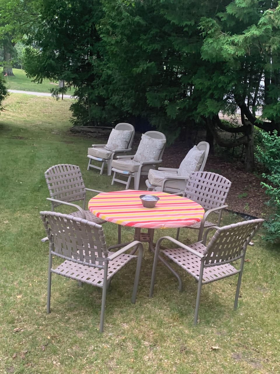 Backyard- Outdoor seating 