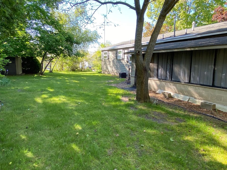 Backyard View- 
      