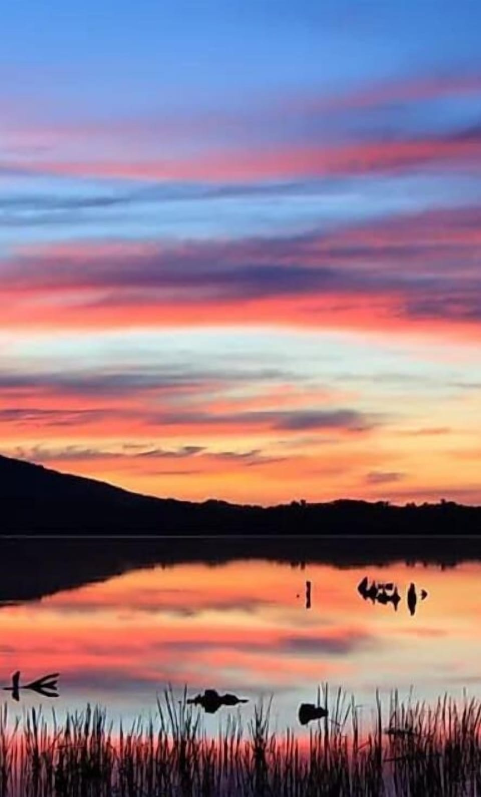 Locust Lake - a serene 120-acre lake surrounded by forests and hills, located just 10 mins from your vacation rental. Enjoy fishing, boating, swimming, and hiking. Known for its family-friendly atmosphere and cabins along the shore. Escape to nature at Locust Lake!