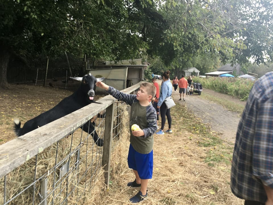 Lots of local farms & zoos open  all year long eith seasonal family fun