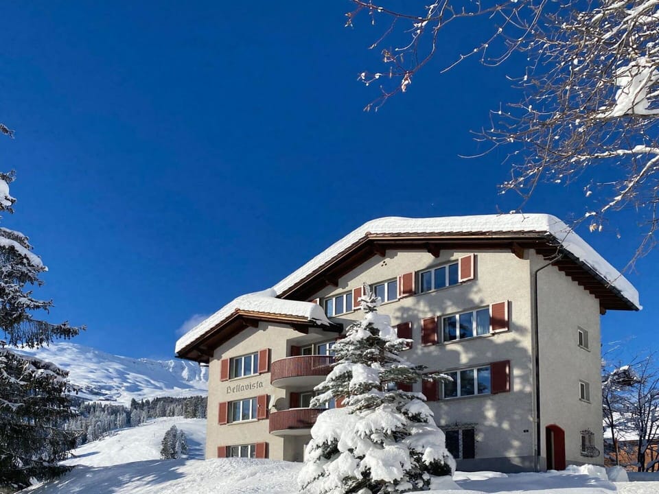 Sky, Building, Snow, Window, Plant, World, House, Tree, Branch, Slope