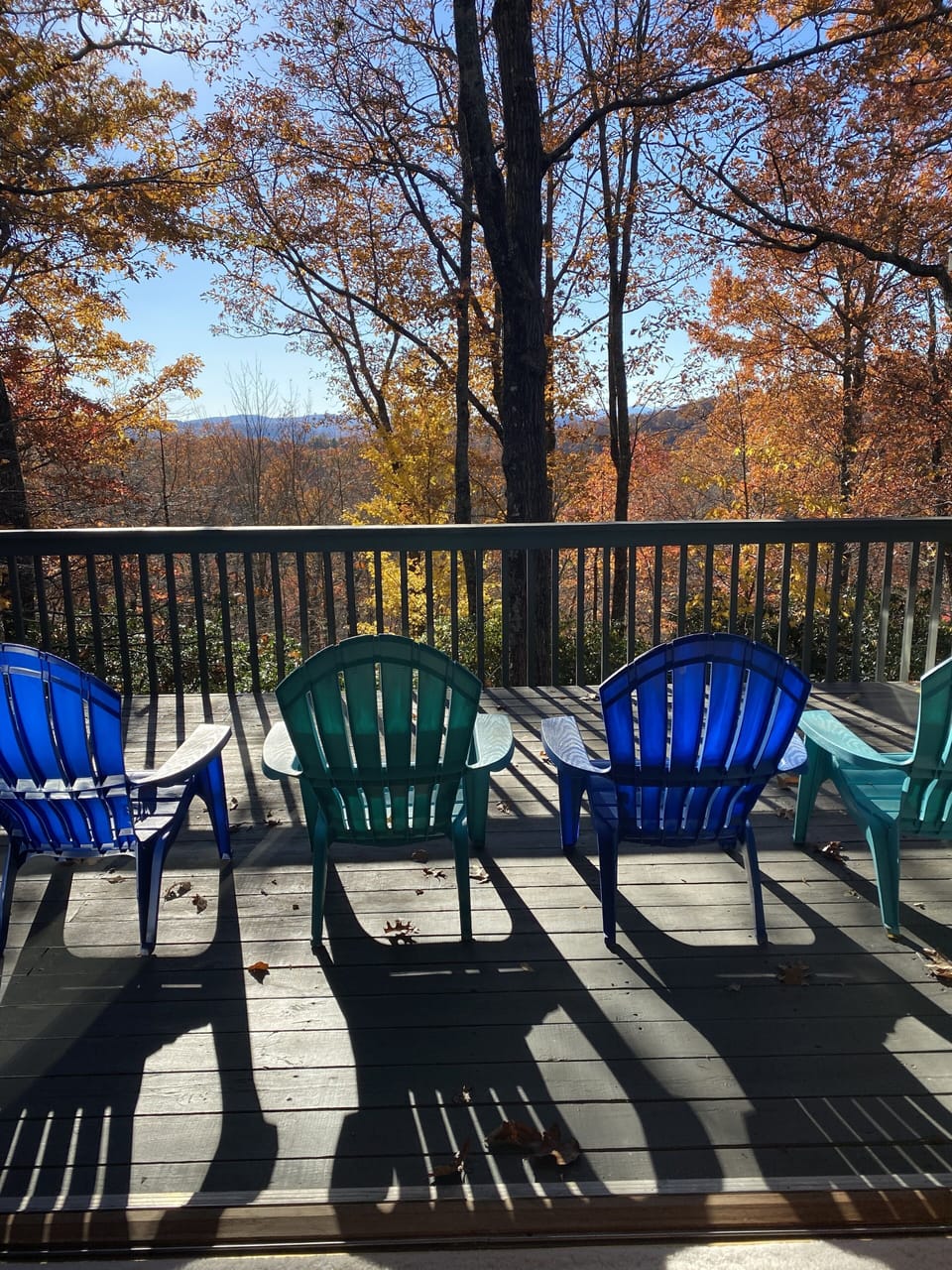 Back deck, November 2021