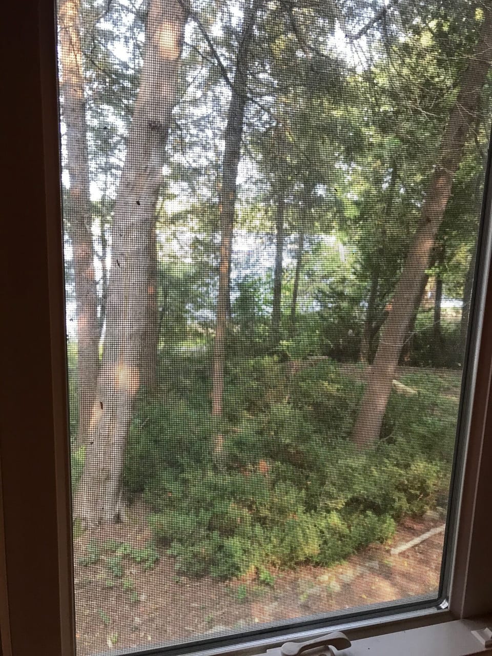Staircase window. 