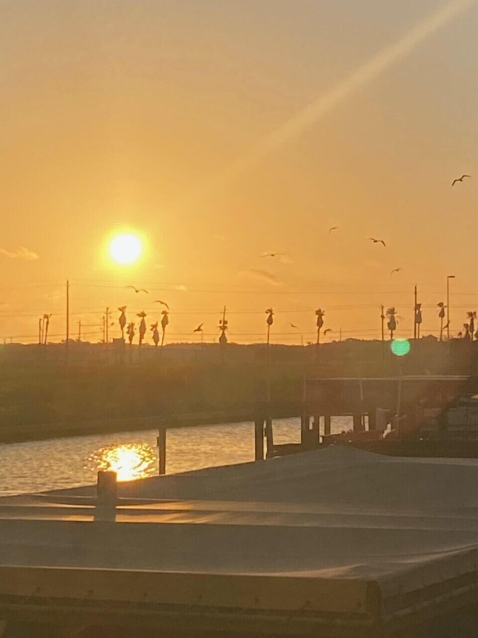 Golden sunset illuminates the waterfront pier where people gather to watch the day's end, with seabirds soaring overhead.
