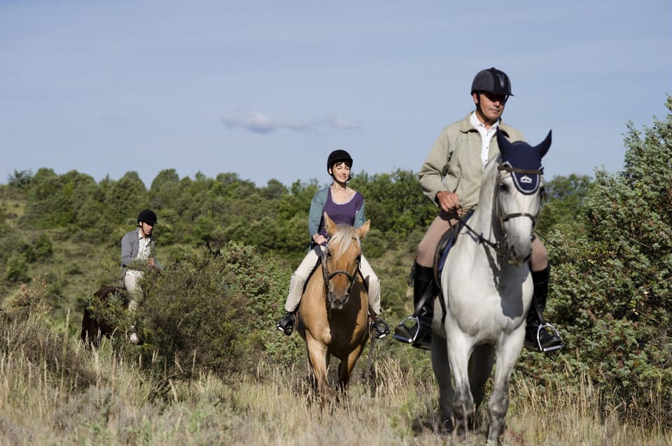 Enjoy horseback riding through this lovely region.