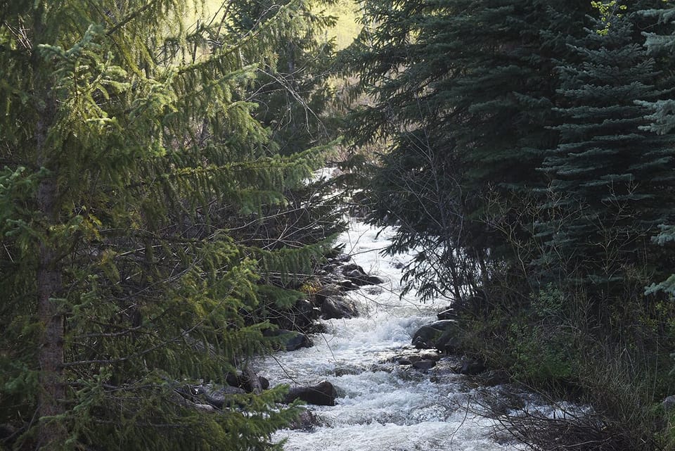 Bighorn Creek directly below cabin
