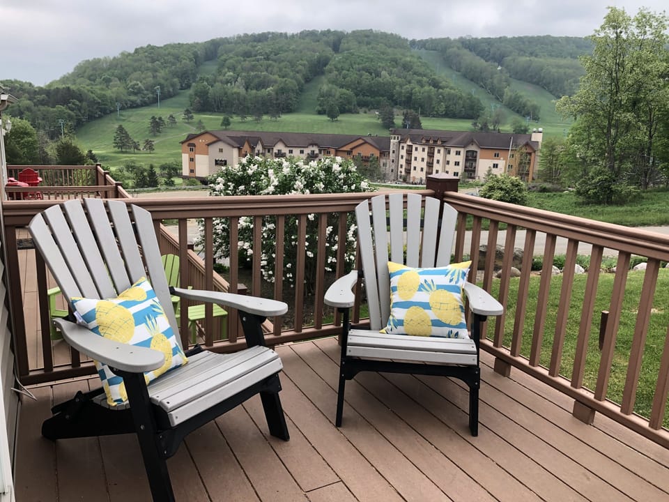 Relax in our Adirondack chairs and enjoy the view of the mountain year round. 