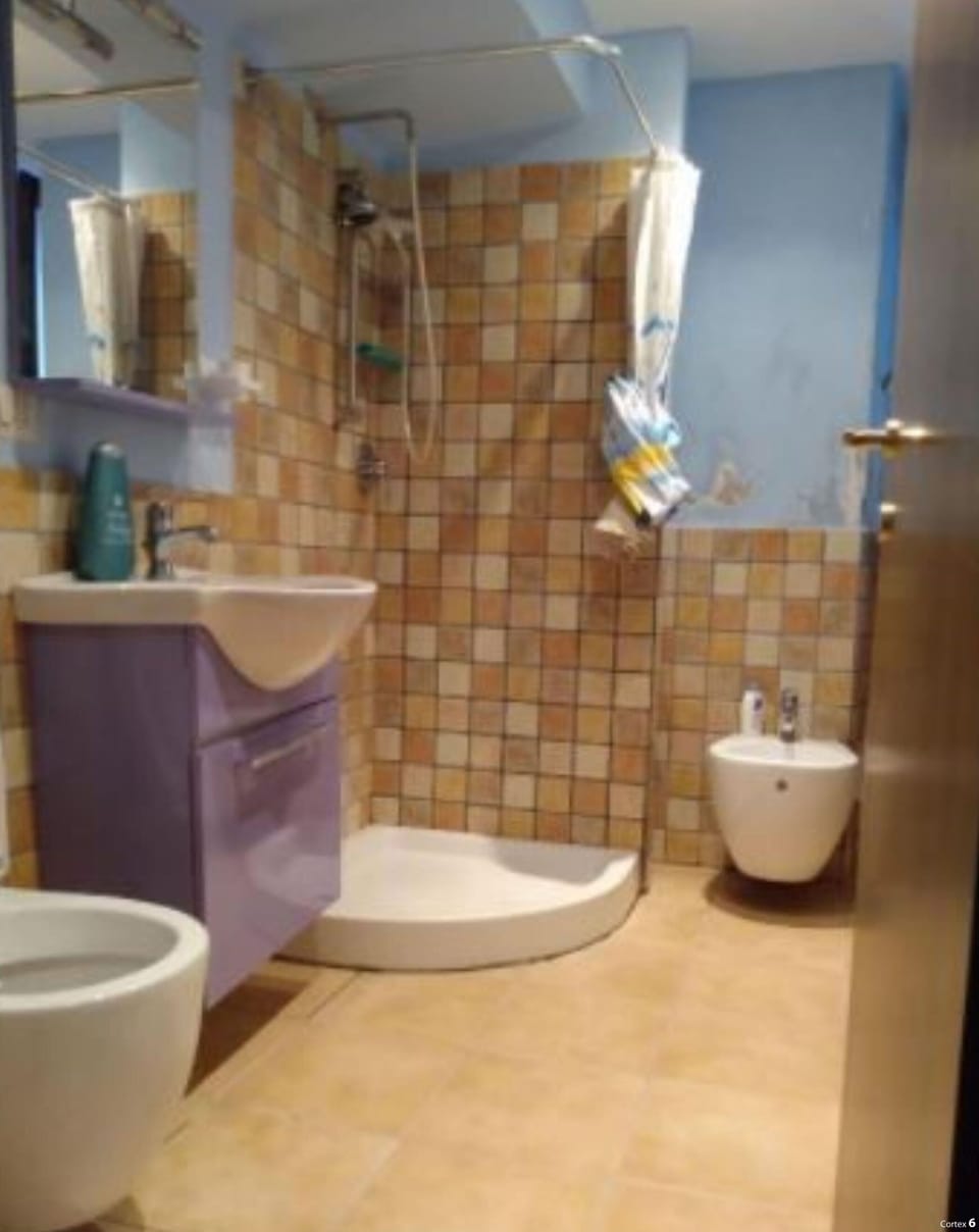 bagno con doccia e finestra