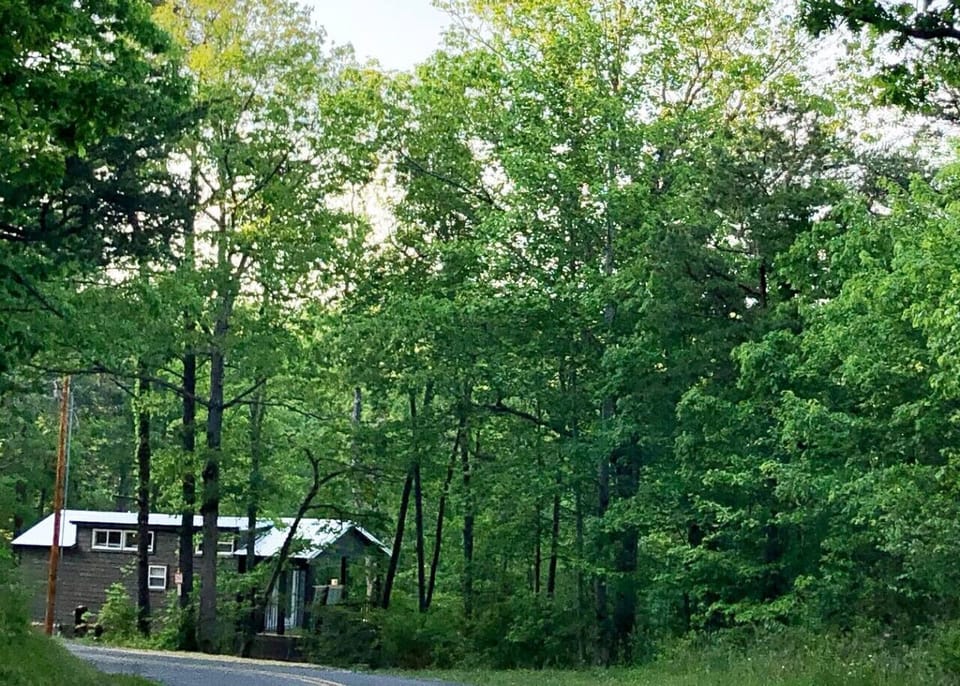 An outdoor view of your tiny home escape!  Did you know Desoto Falls is only a few minutes away!
