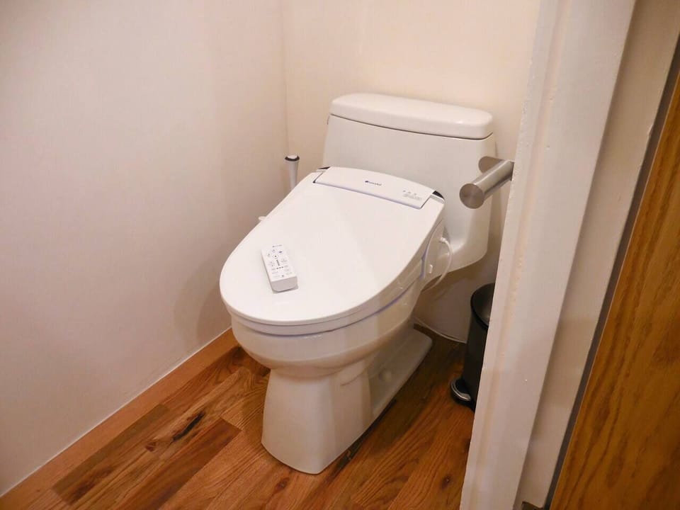 Toilet with bidet and heated seat