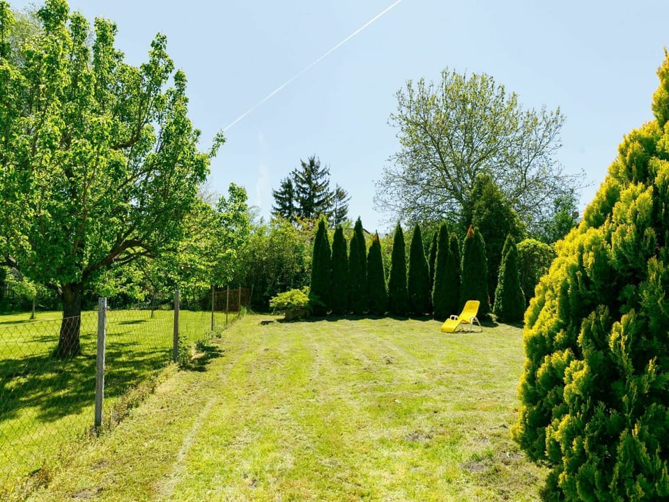 Plant, Sky, Natural Landscape, Tree, Land Lot, Grass, Evergreen, Landscape, Groundcover, Grassland