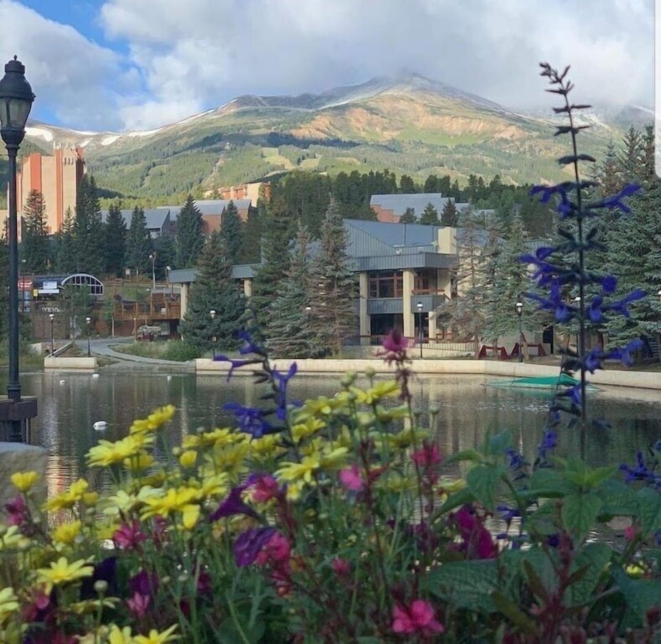 Beautiful Summer day on Maggie pond.
