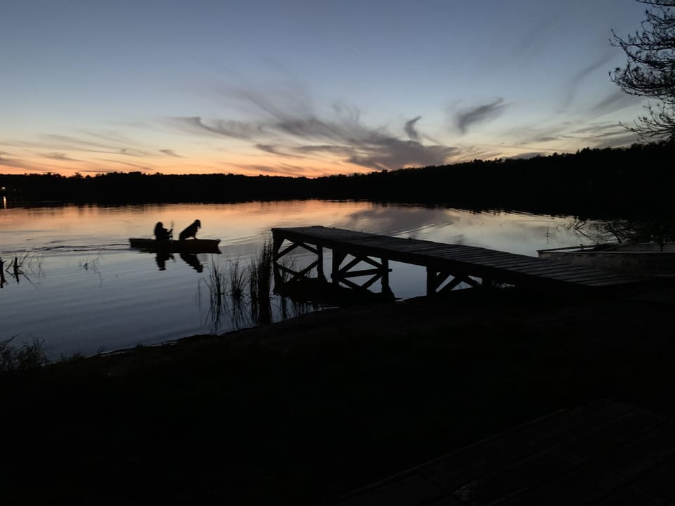 Kayaks , canoe and a small boat available for you use.
