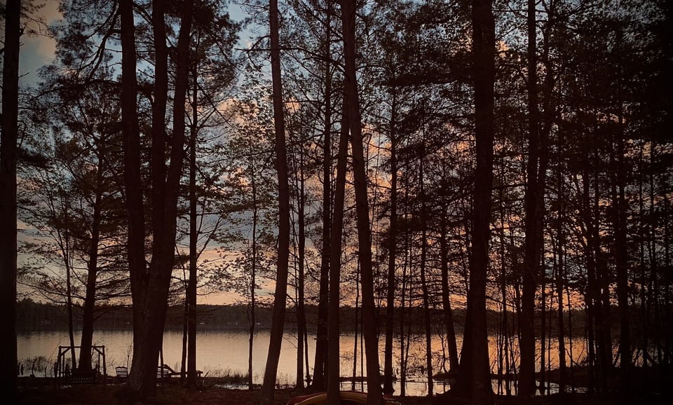 View from the deck