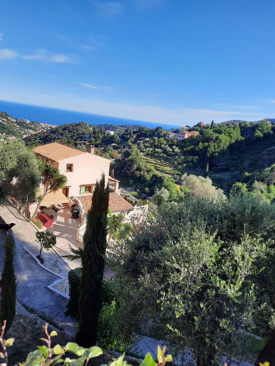 View from property