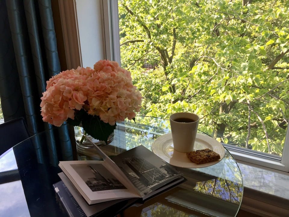 Enjoy mature Lindens lining Polk Street in this bright bay window 