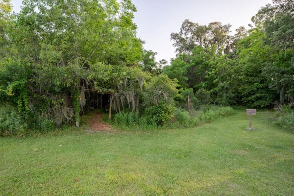 treehouse entrance in the forest