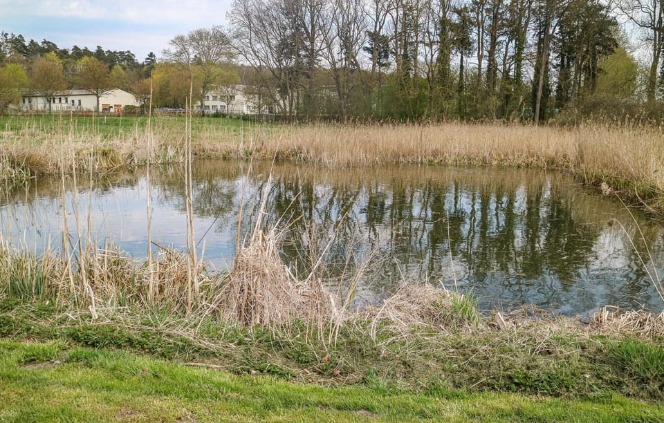 outside