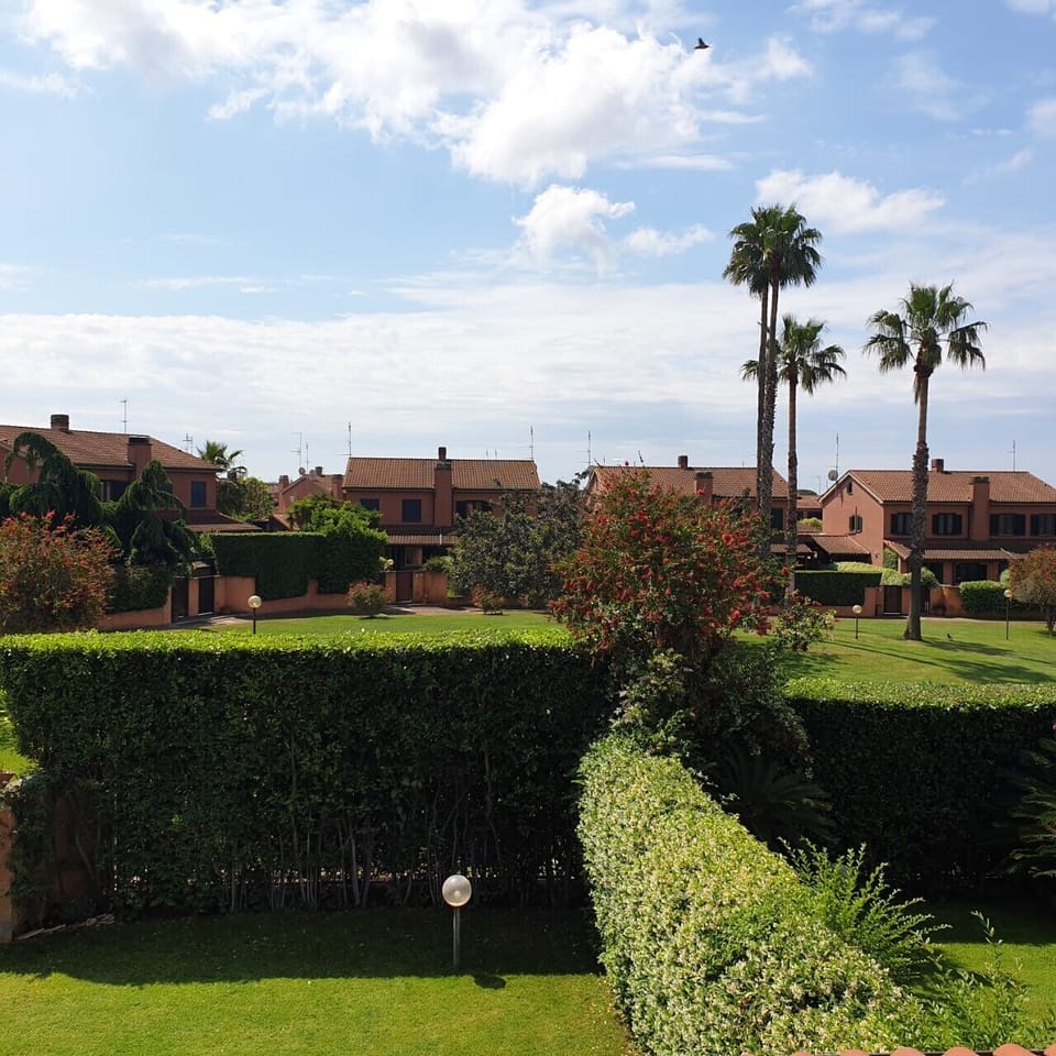 Image 13