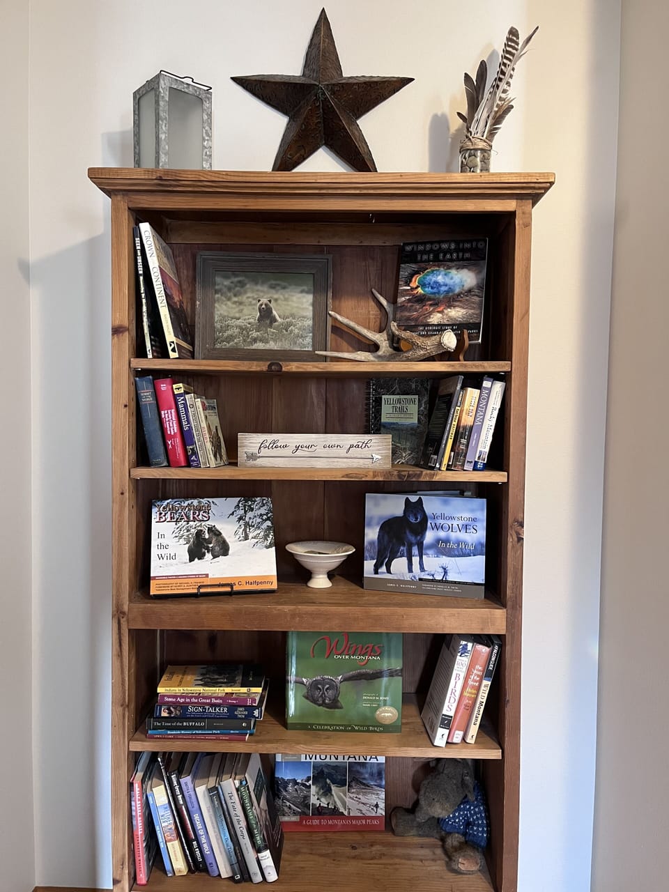 Excellent selection of resources - historical and regional books