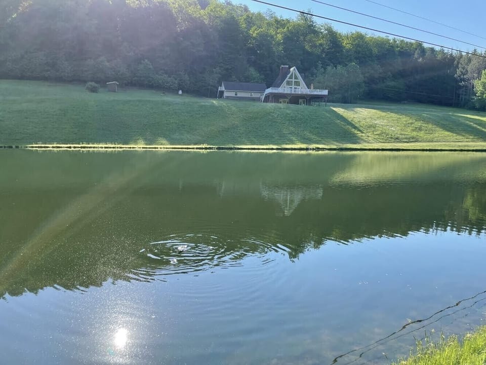 Early morning view of the house from the bank of Mill Creek.