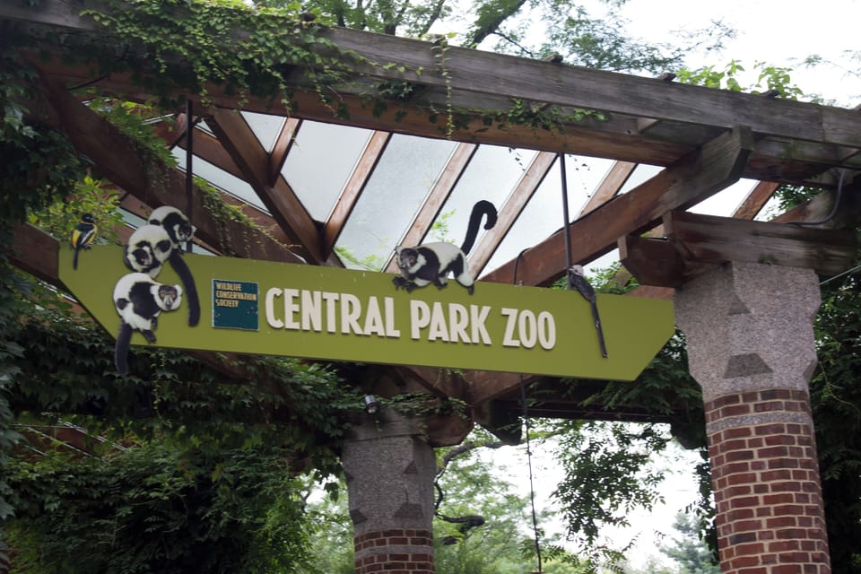 Plan a fun day out at nearby family-friendly attractions.