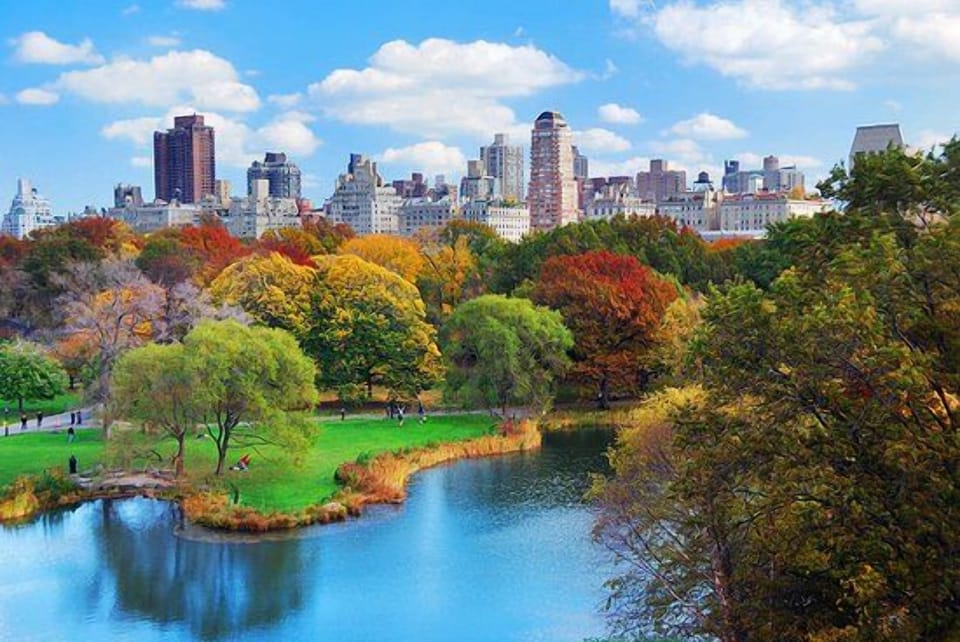 Wander through colorful park views moments from your stay.