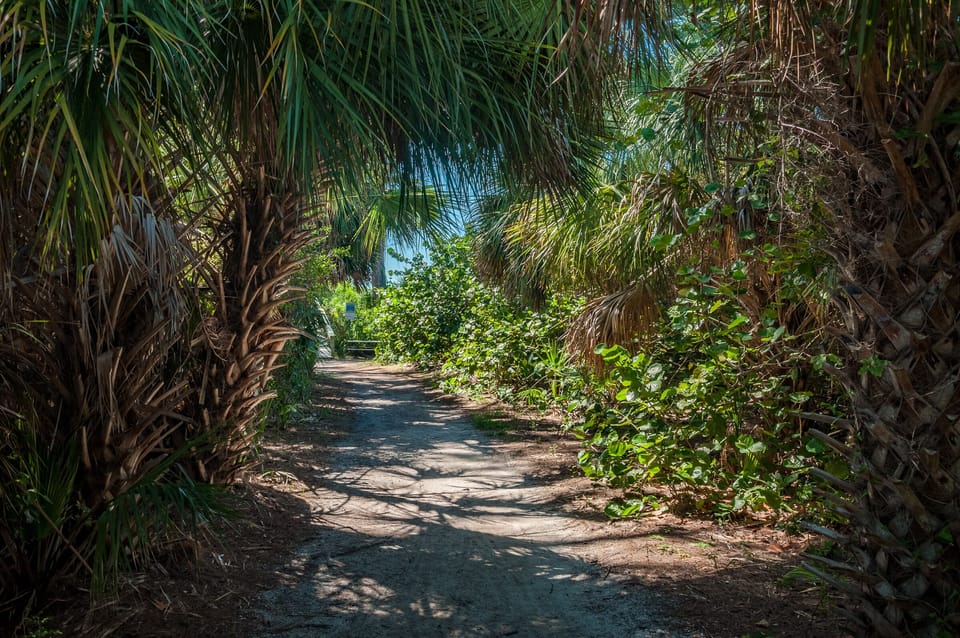 Pathway to the beach