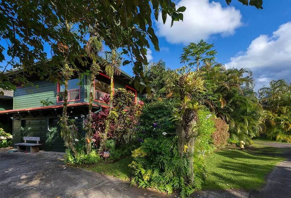 Tropical Jungle minutes away from the beach