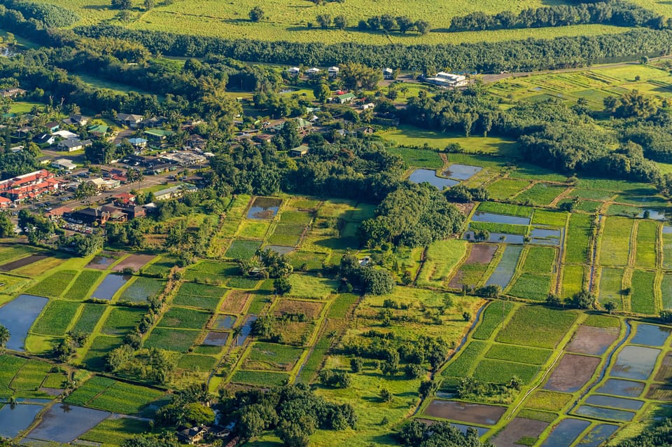 Hanalei Town and Taro Fields