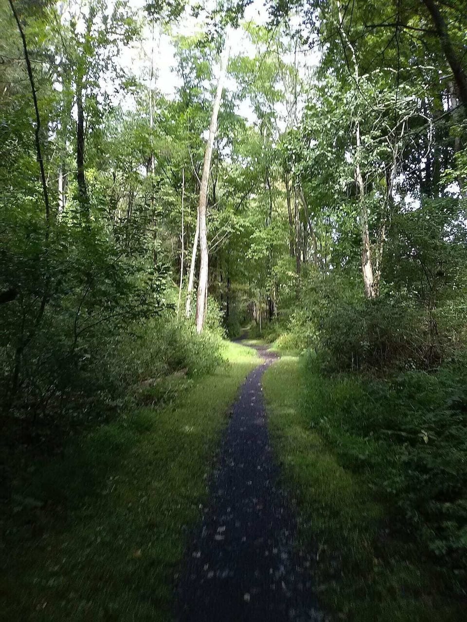 Rail Trail, (in the backyard), 2 minute walk to entrance.