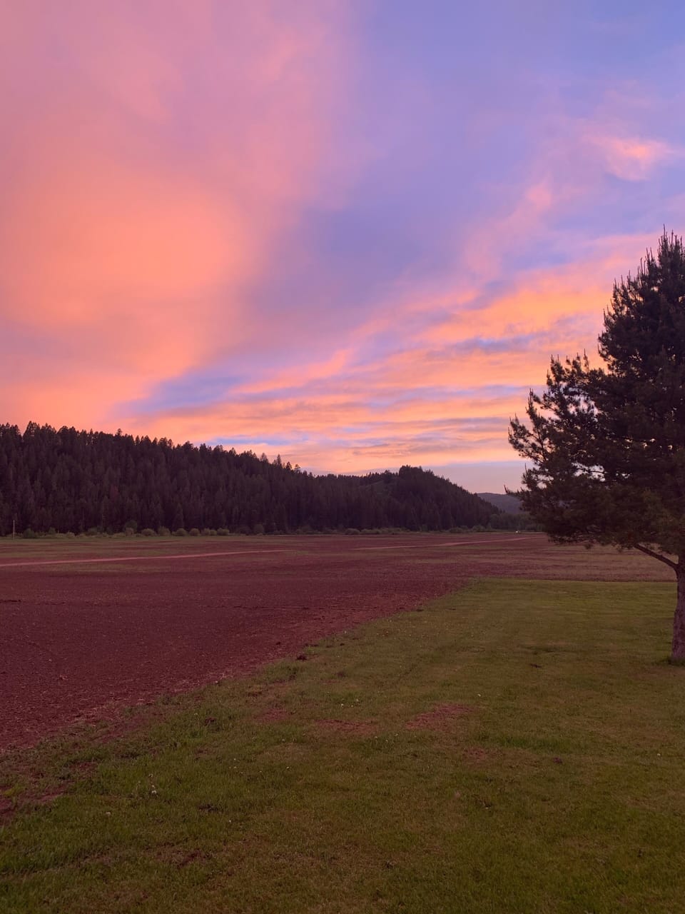 Sunset from side yard facing west