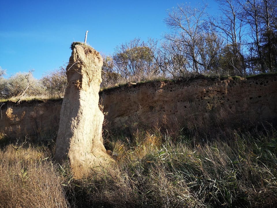 Town/city in general