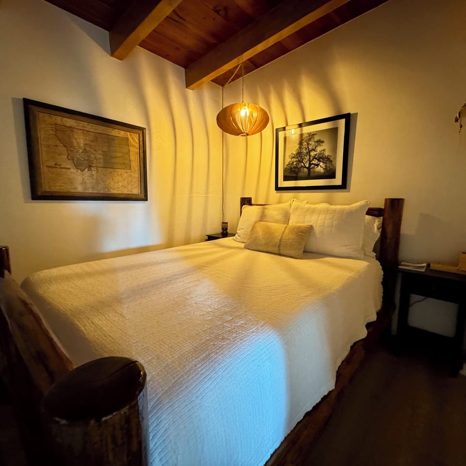 Downstairs Bedroom 