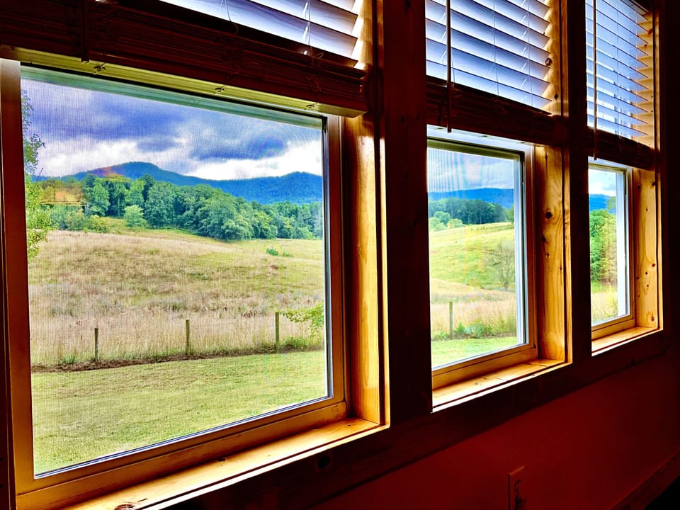 Living Room View