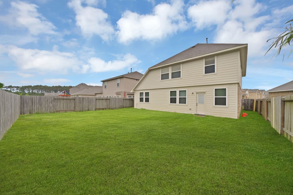 back yard