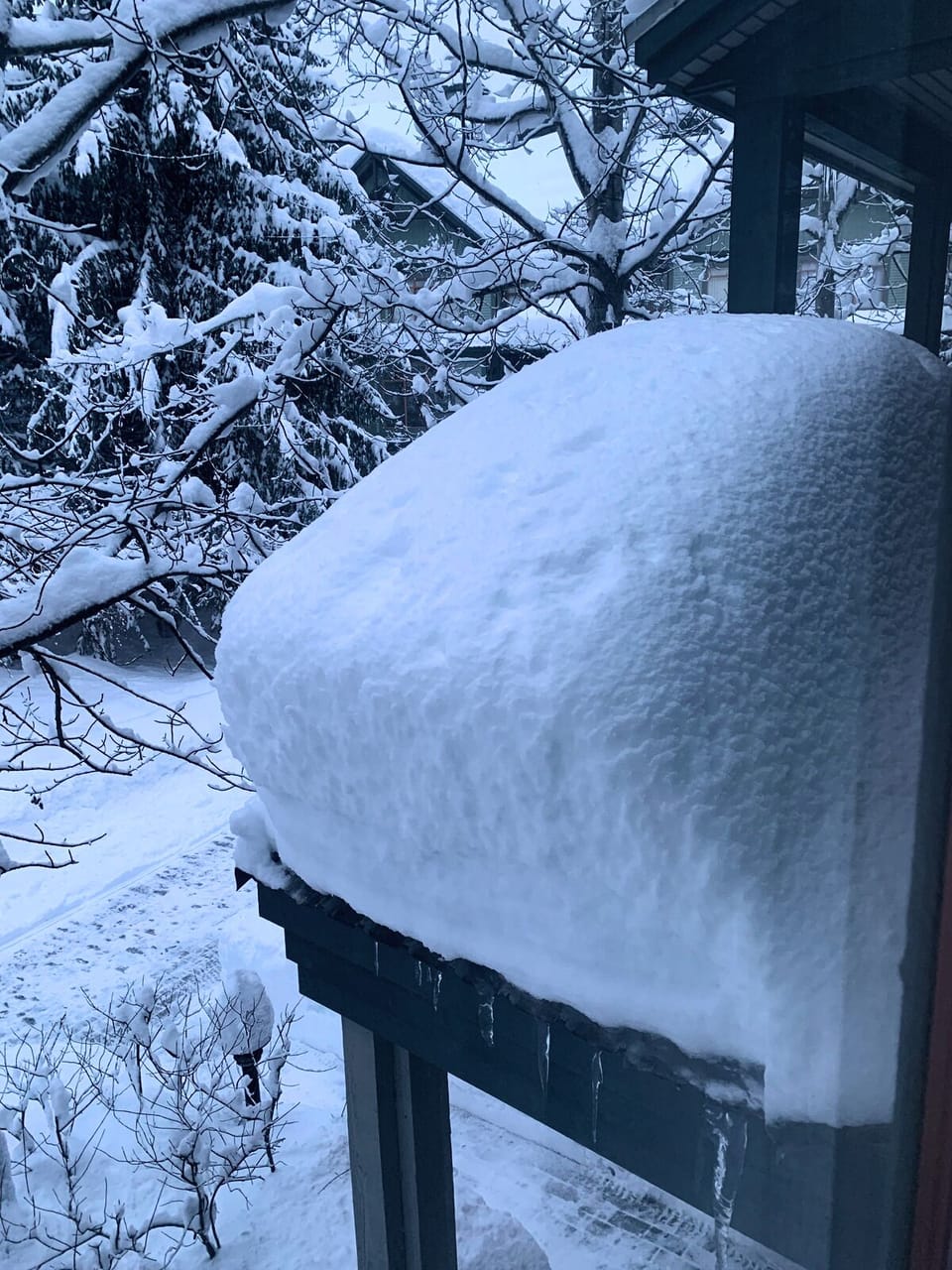 Snow dump - January 2022