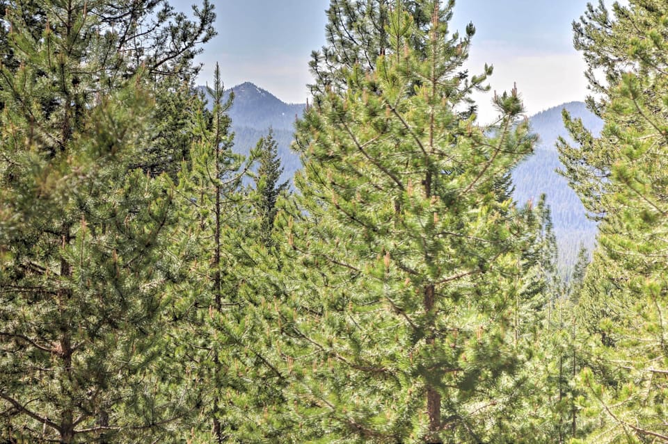 Forest & Mountain Views