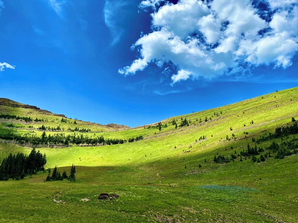 Bridger-Teton National Forest