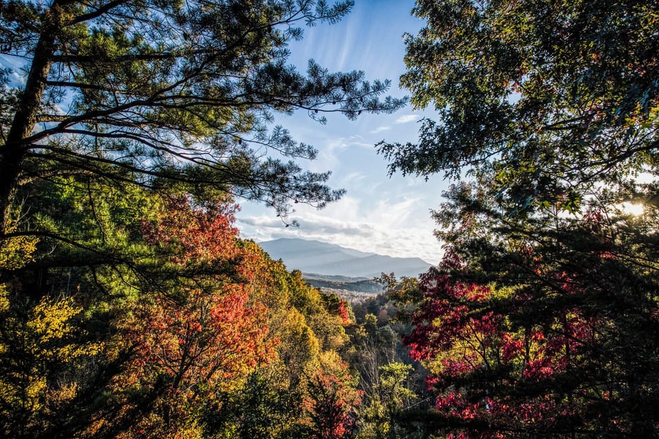 Late fall view froom the deck