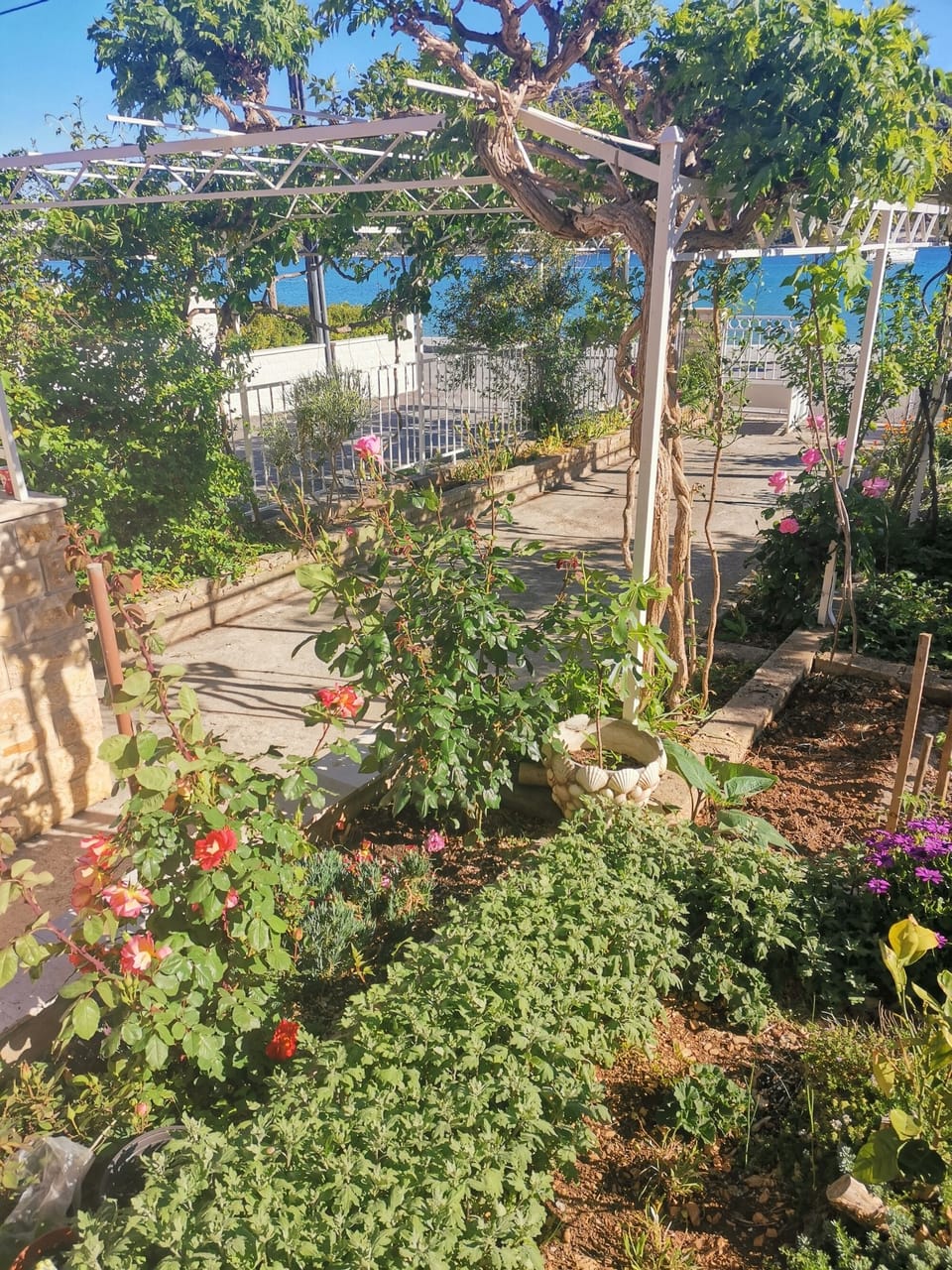 Courtyard