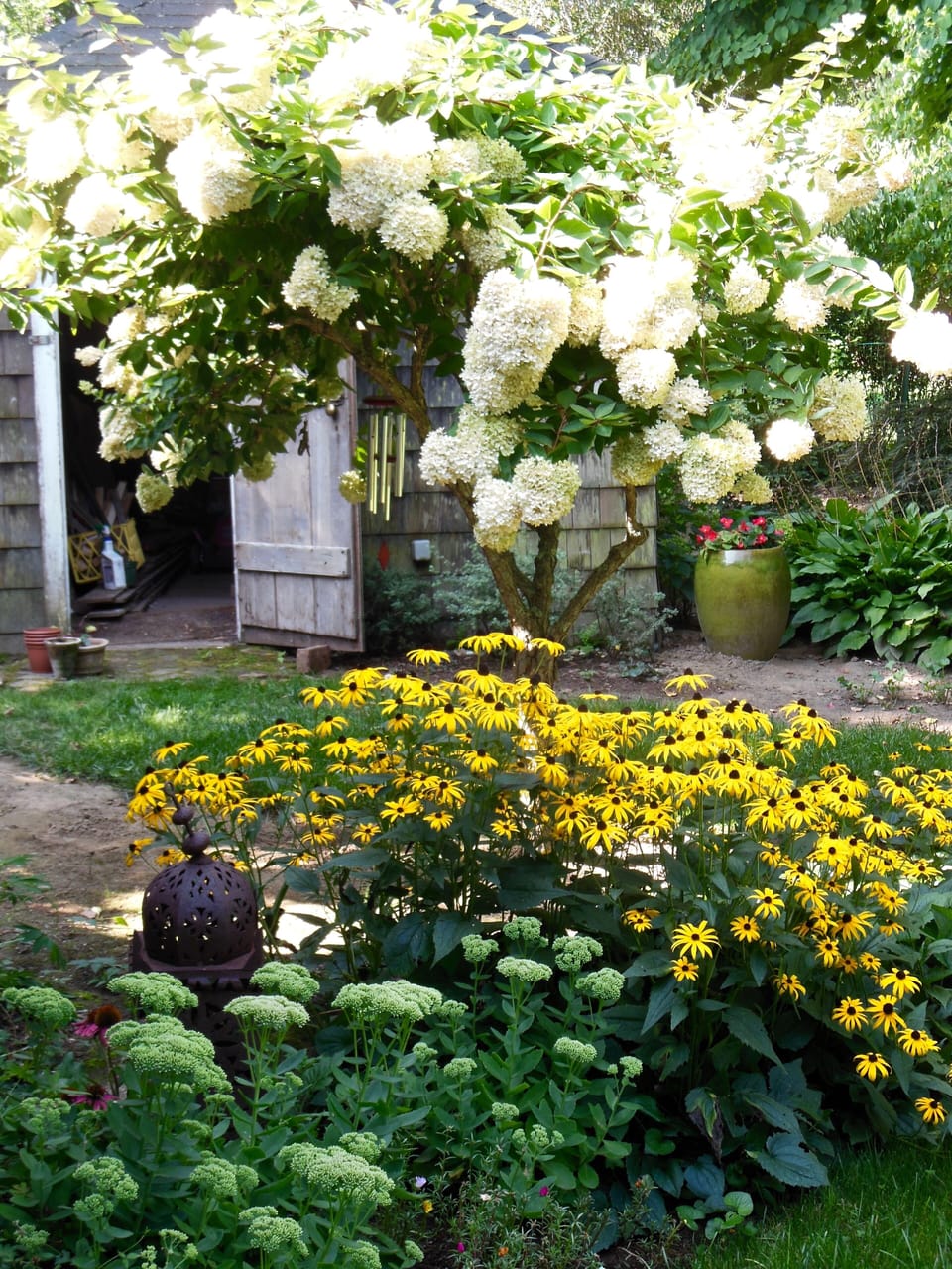 Garden
