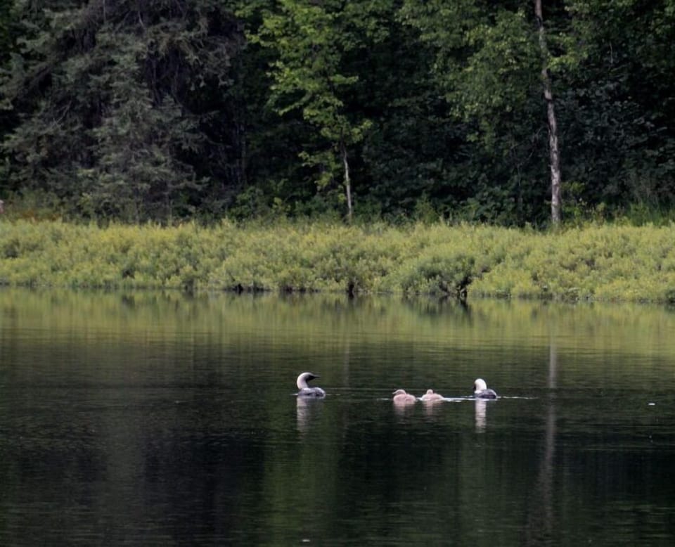 Lake