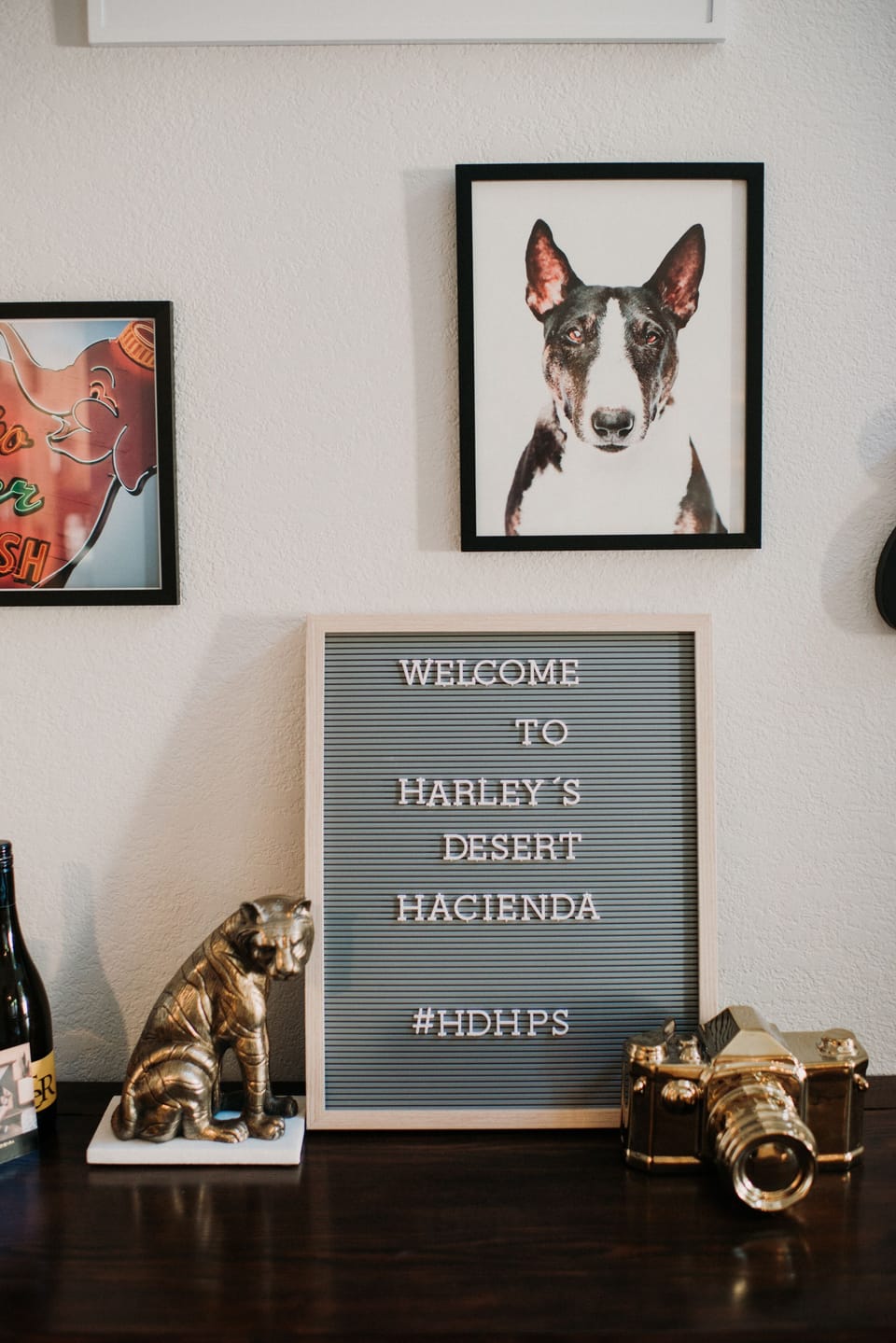 Harley welcomes you!