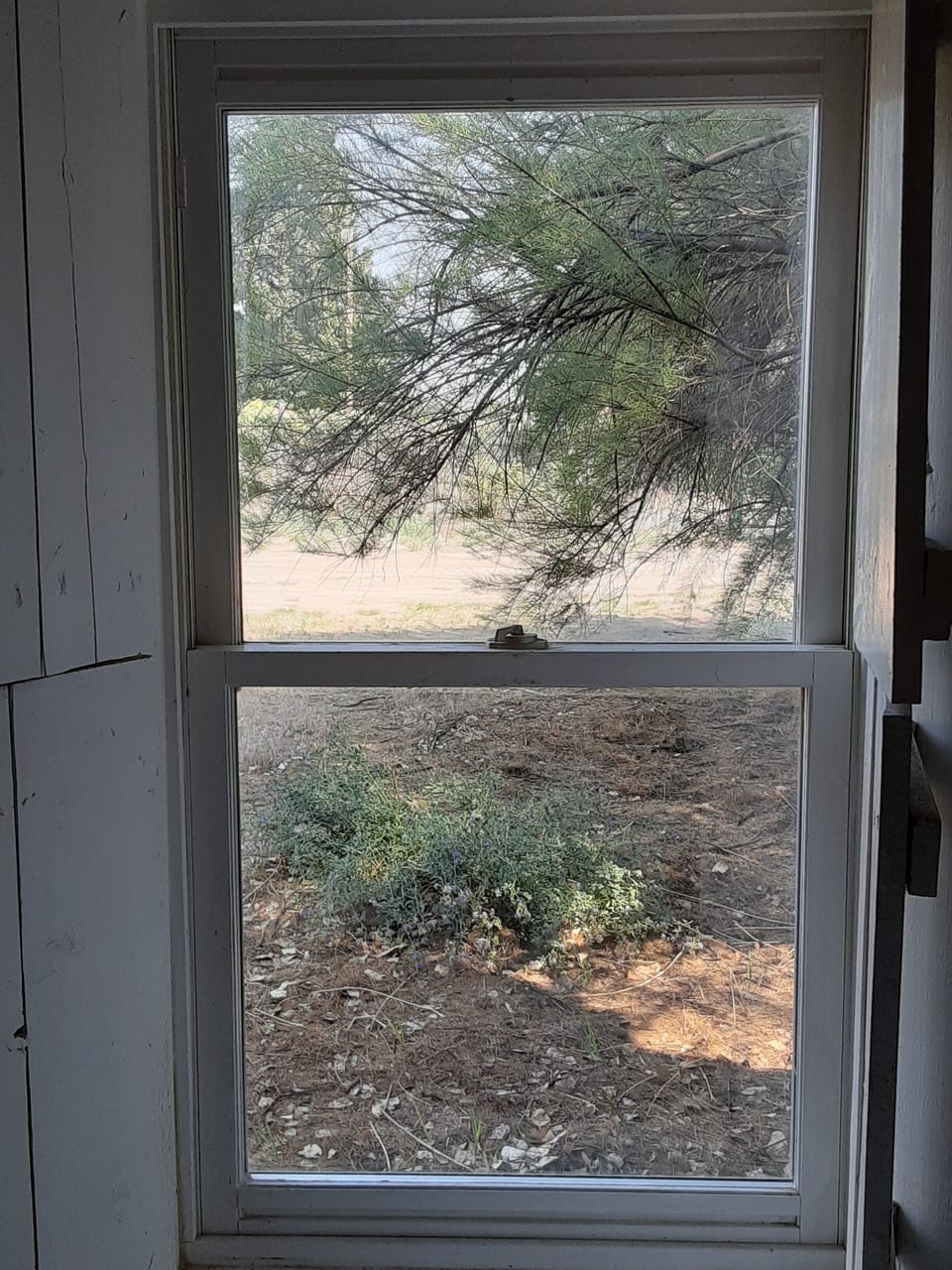 View from bedroom window. 