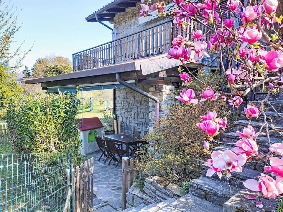 Flower, Petal, Spring, Cottage, Balcony, Blossom, Fence