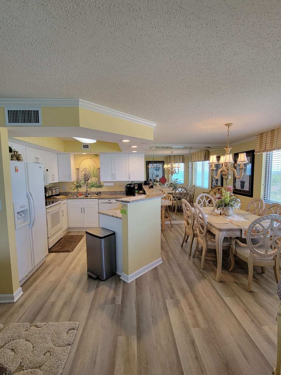 Open Conept Shared Living Areas
