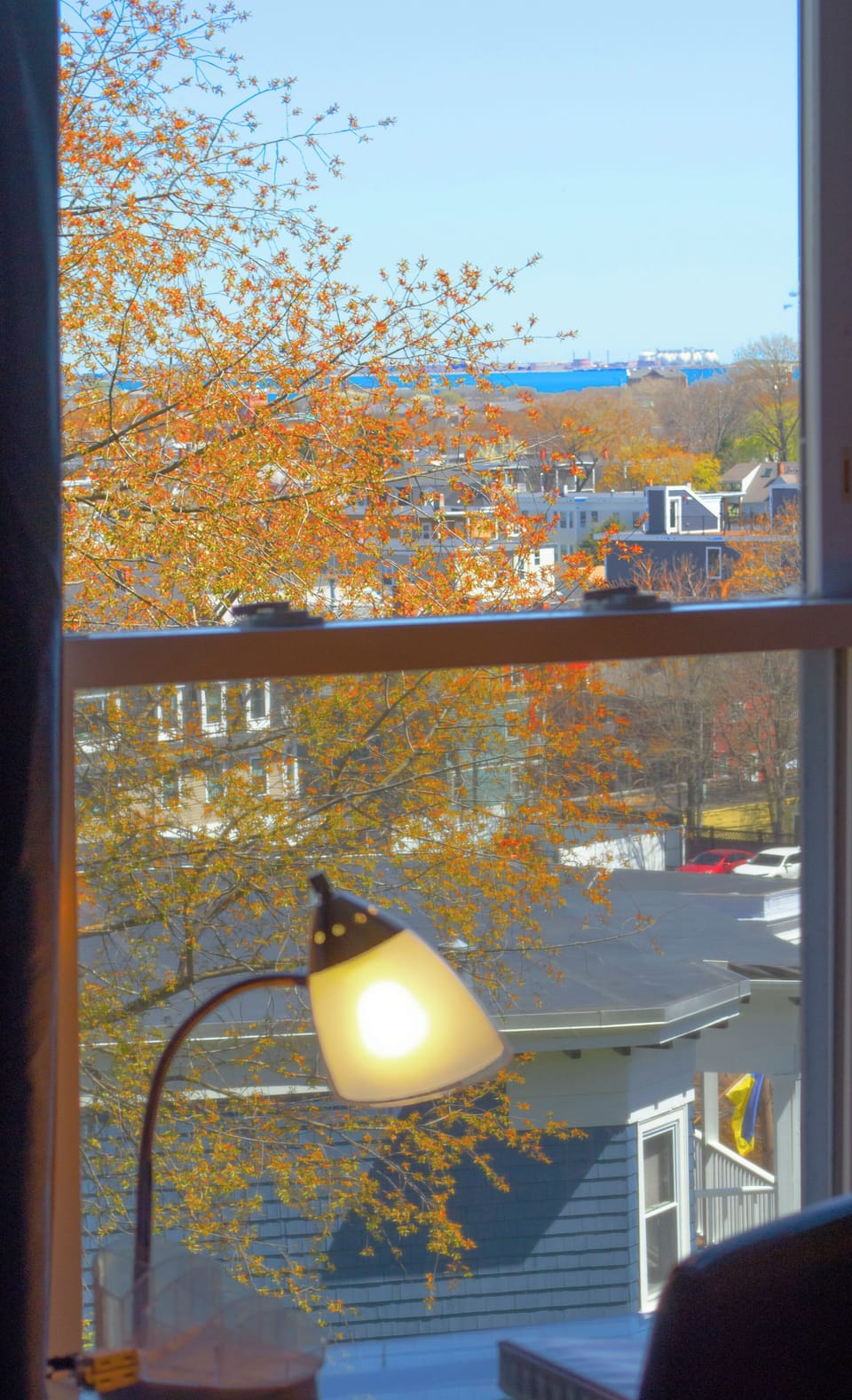 View from the desk with fall colored leaves; bay in the background.