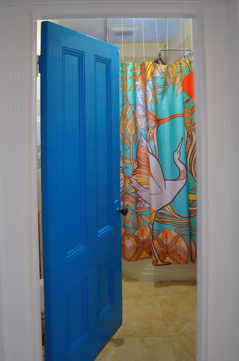 Entry to the bathroom & colorful shower curtain.